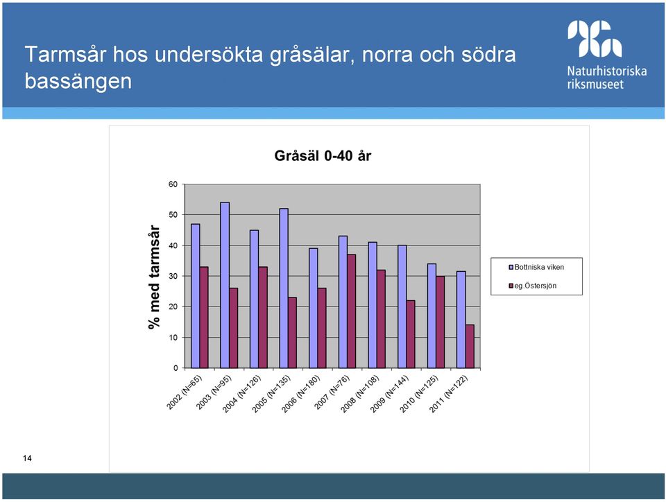 gråsälar, norra