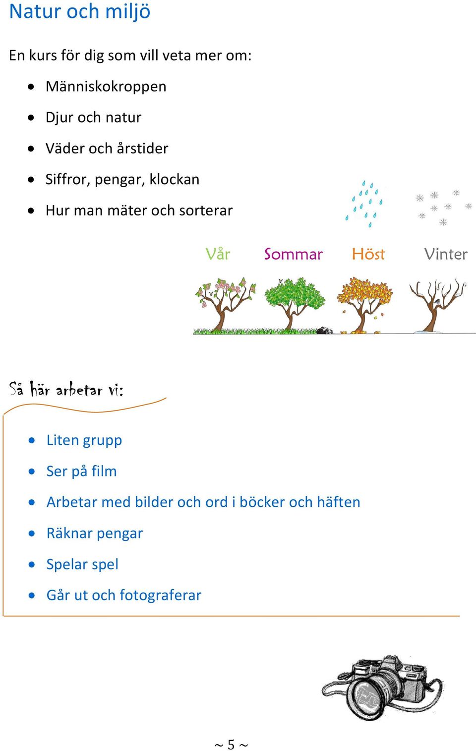 sorterar Vår Sommar Höst Vinter Liten grupp Ser på film Arbetar med bilder