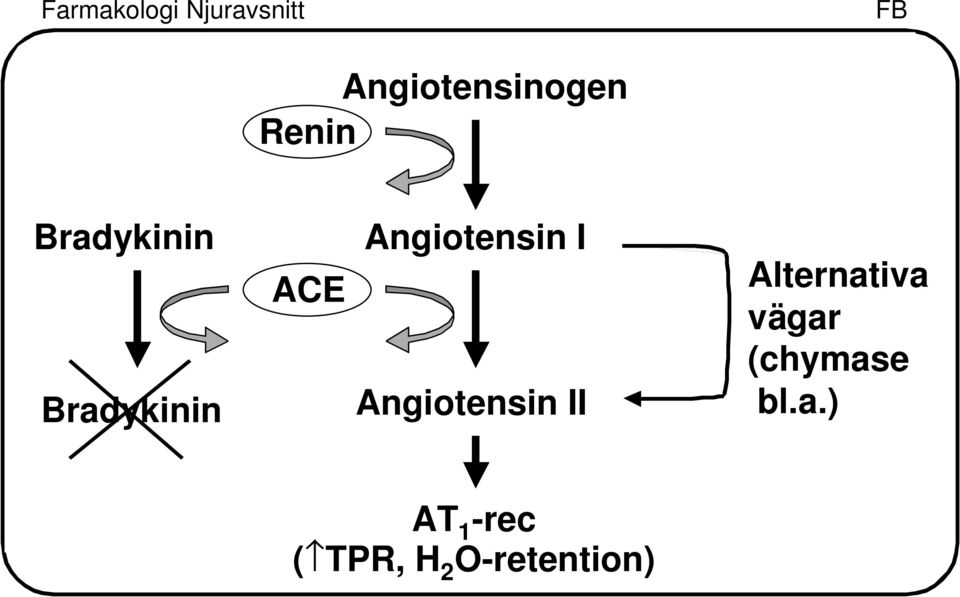 Angiotensin II Alternativa vägar