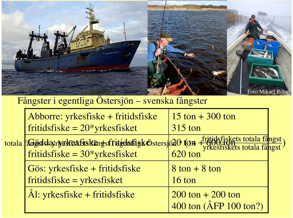 fritidsfiske 15 ton + 300 ton 315 ton Foto Mikael Röhr totala fångst = yrkesfiskets fångst i egentliga Östersjön fiidfik 20 * ton