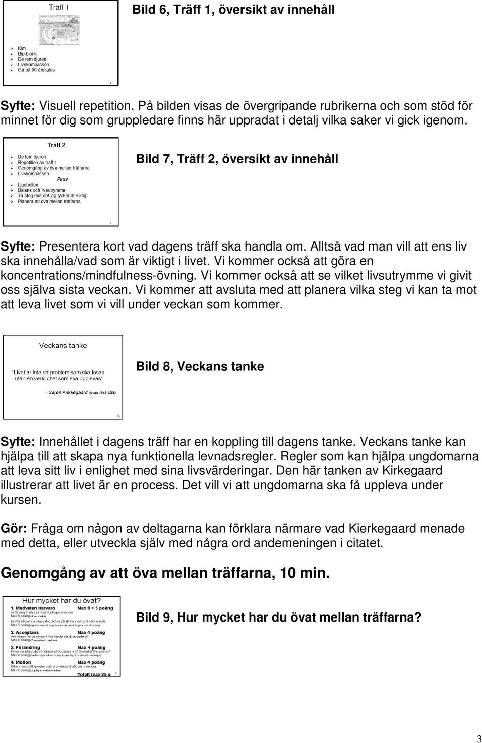 Bild 7, Träff 2, översikt av innehåll Syfte: Presentera kort vad dagens träff ska handla om. Alltså vad man vill att ens liv ska innehålla/vad som är viktigt i livet.