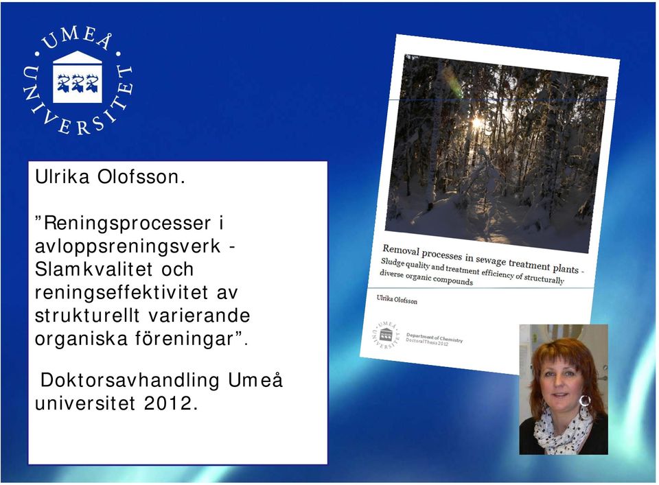 Slamkvalitet och reningseffektivitet av