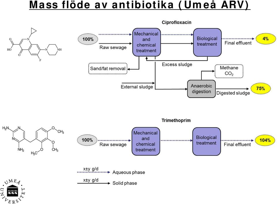 (Umeå ARV) N N N