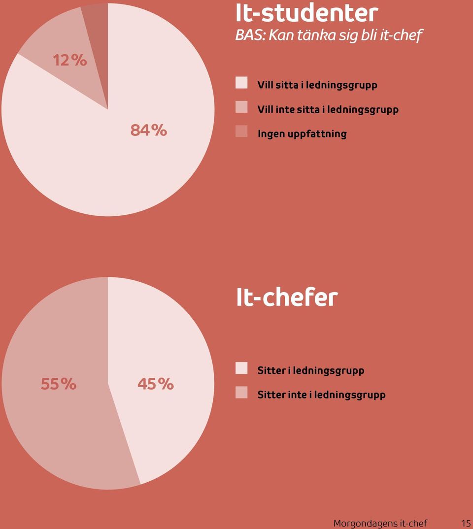 ledningsgrupp Ingen uppfattning It-chefer 55 % 45 %