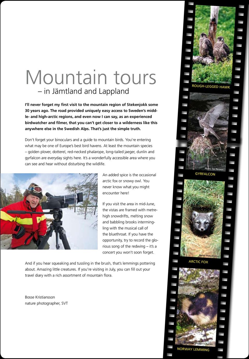 this anywhere else in the Swedish Alps. That s just the simple truth. Don t forget your binoculars and a guide to mountain birds. You re entering what may be one of Europe s best bird havens.