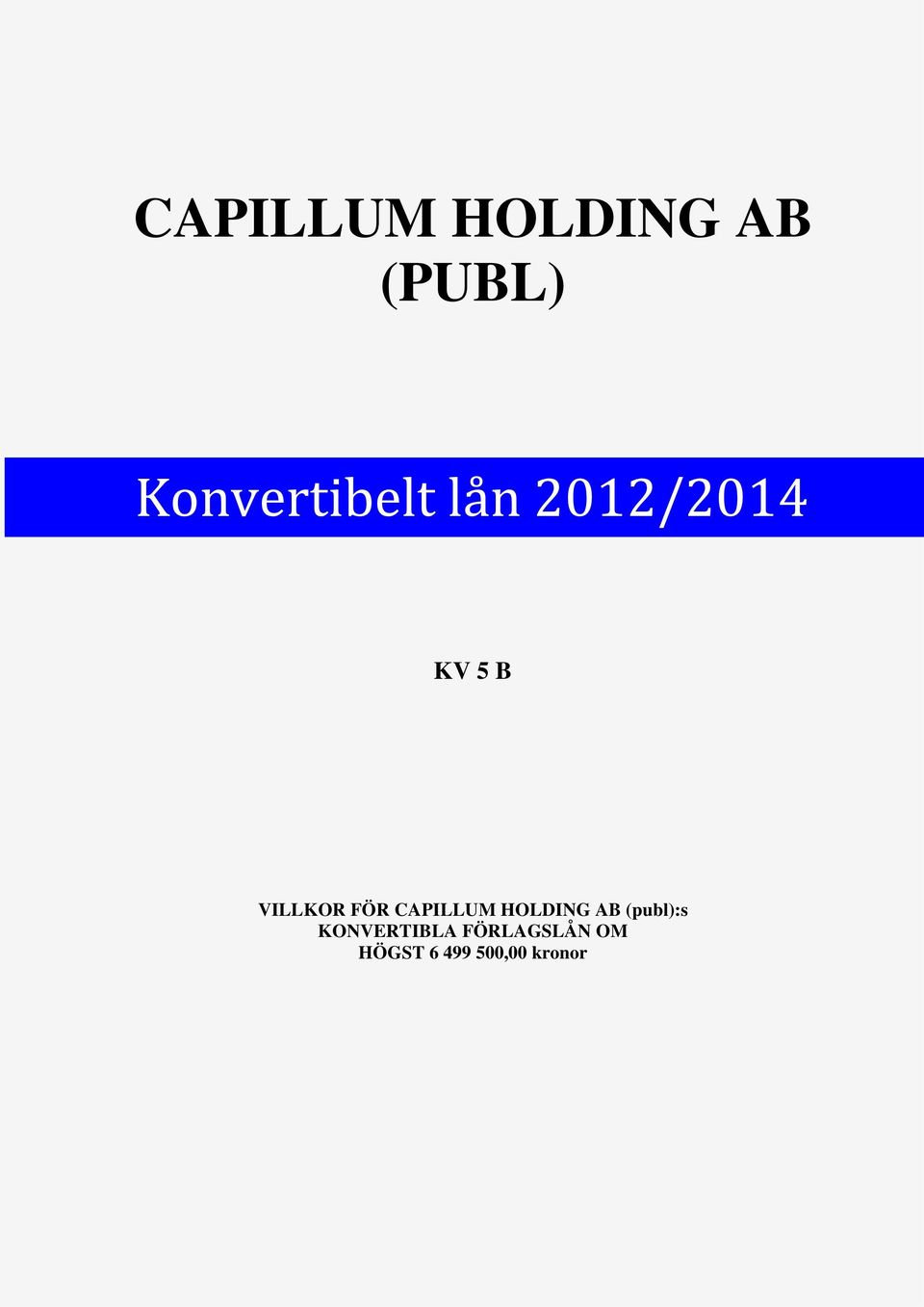 VILLKOR FÖR CAPILLUM HOLDING AB