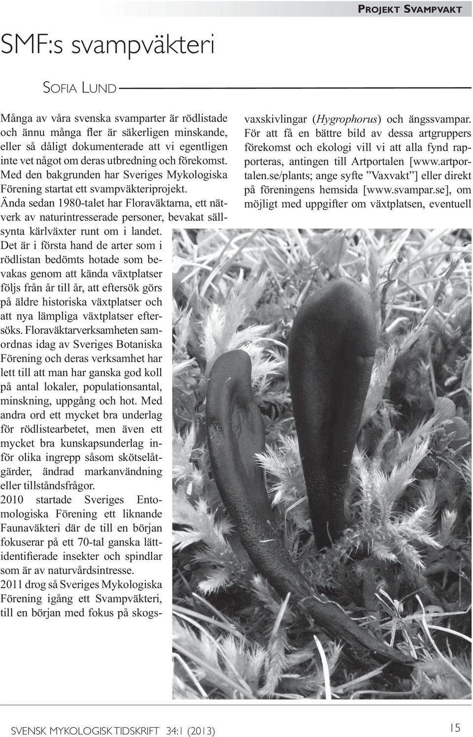 - - - Hygrophorus - - SVENSK
