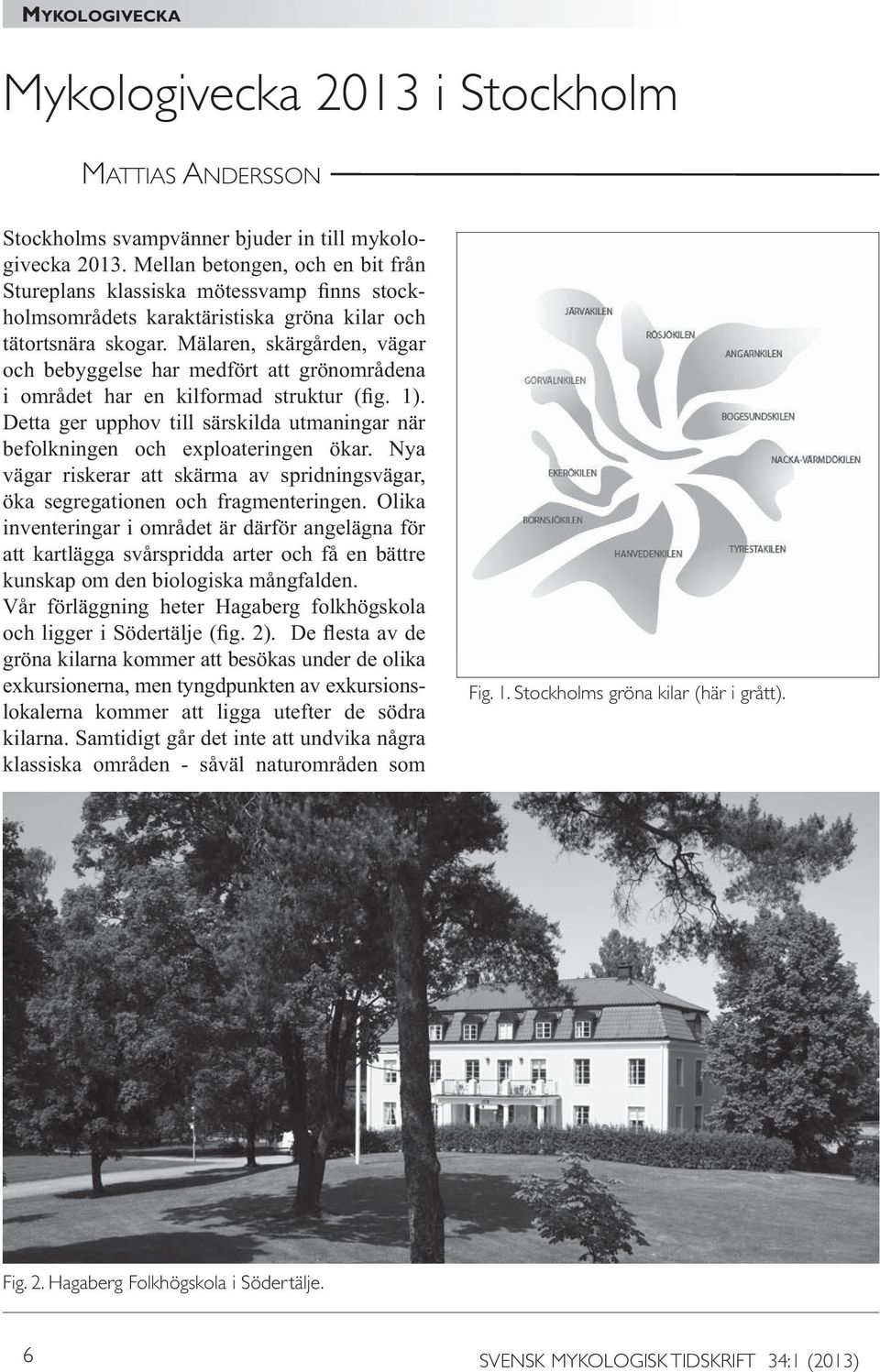 Stockholms gröna kilar (här i grått). Fig. 2.