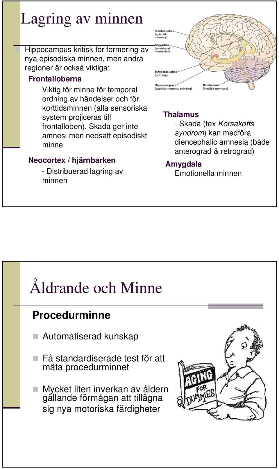 Skada ger inte amnesi men nedsatt episodiskt minne Neocortex / hjärnbarken - Distribuerad lagring av minnen Thalamus - Skada (tex Korsakoffs syndrom) kan medföra diencephalic