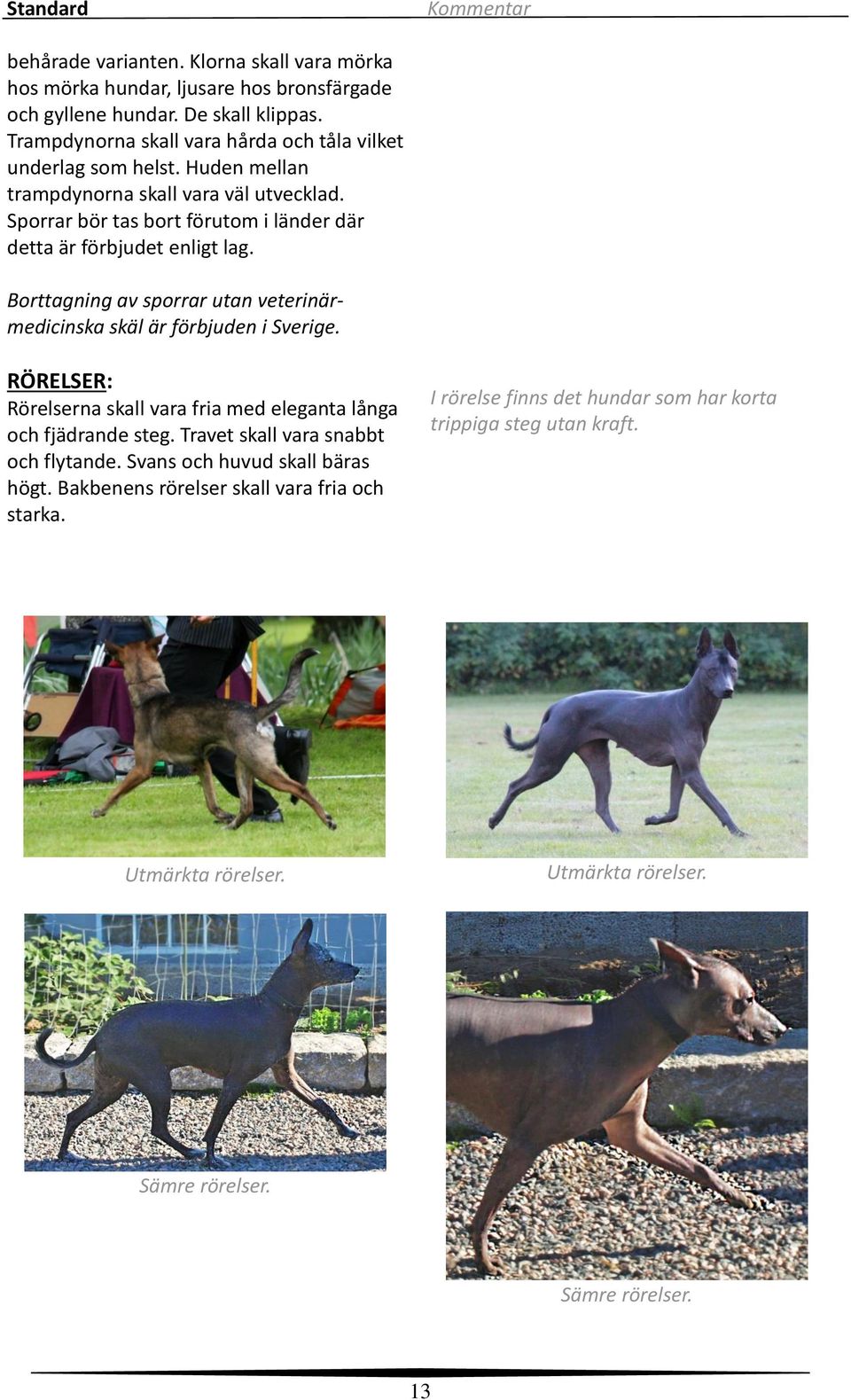 Sporrar bör tas bort förutom i länder där detta är förbjudet enligt lag. Borttagning av sporrar utan veterinärmedicinska skäl är förbjuden i Sverige.