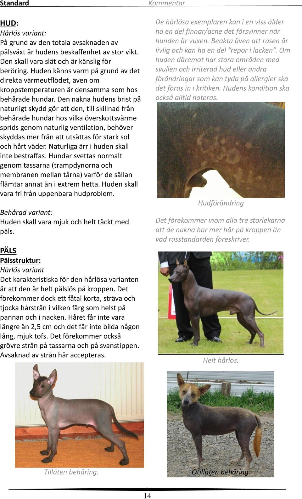 Den nakna hudens brist på naturligt skydd gör att den, till skillnad från behårade hundar hos vilka överskottsvärme sprids genom naturlig ventilation, behöver skyddas mer från att utsättas för stark