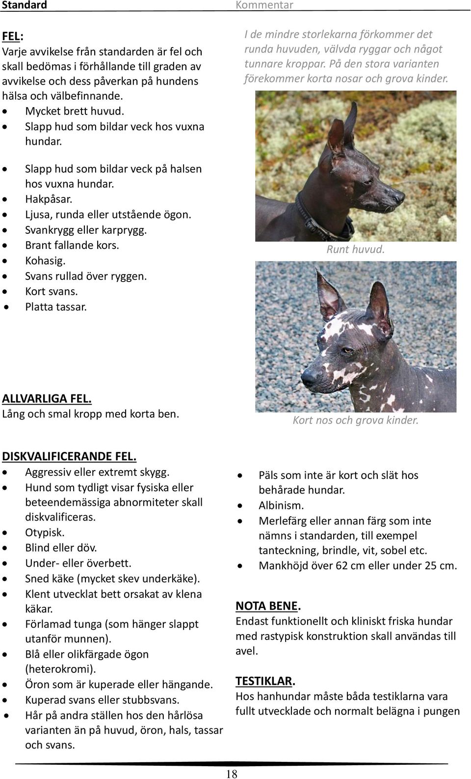 På den stora varianten förekommer korta nosar och grova kinder. Slapp hud som bildar veck på halsen hos vuxna hundar. Hakpåsar. Ljusa, runda eller utstående ögon. Svankrygg eller karprygg.