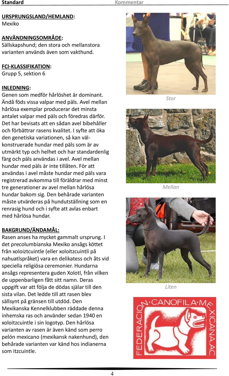 Avel mellan hårlösa exemplar producerar det minsta antalet valpar med päls och föredras därför. Det har bevisats att en sådan avel bibehåller och förbättrar rasens kvalitet.