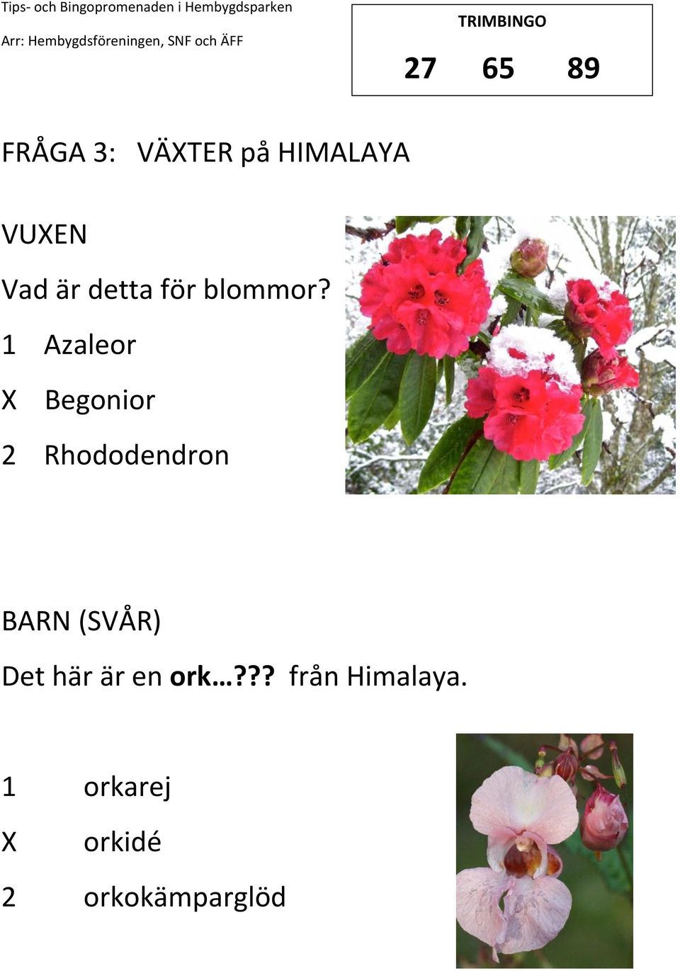 1 Azaleor Begonior 2 Rhododendron (SVÅR) Det