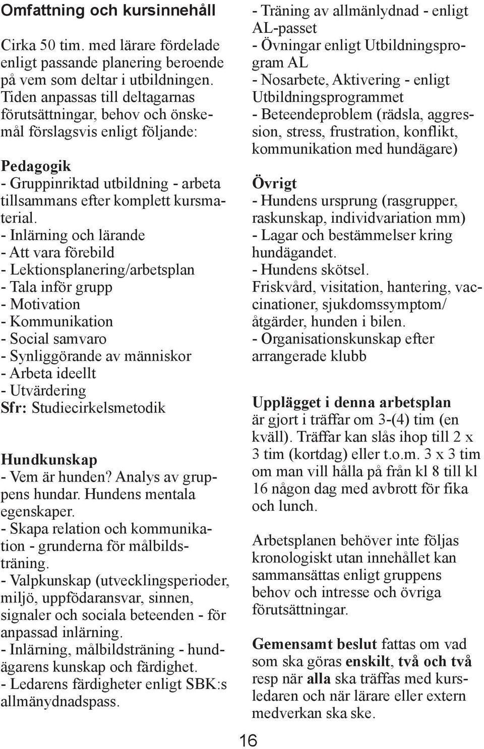 - Inlärning och lärande - Att vara förebild - Lektionsplanering/arbetsplan - Tala inför grupp - Motivation - Kommunikation - Social samvaro - Synliggörande av människor - Arbeta ideellt - Utvärdering