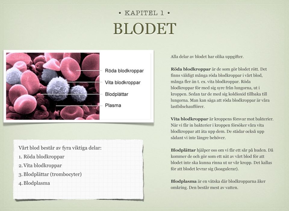 Vita blodkroppar är kroppens försvar mot bakterier. När vi får in bakterier i kroppen försöker våra vita blodkroppar att äta upp dem. De städar också upp sådant vi inte längre behöver.