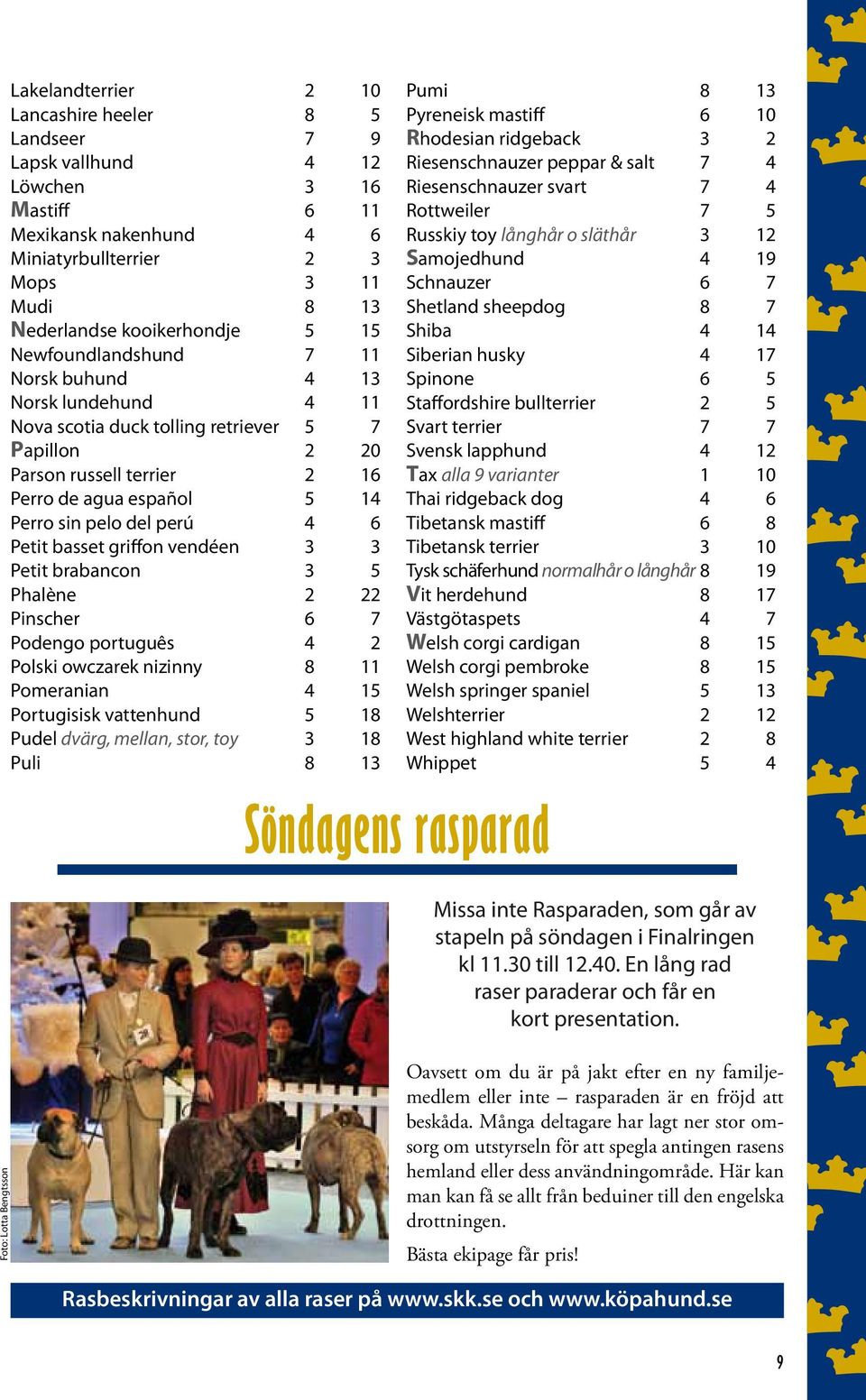 6 Petit basset griffon vendéen 3 3 Petit brabancon 3 5 Phalène 2 22 Pinscher 6 7 Podengo português 4 2 Polski owczarek nizinny 8 11 Pomeranian 4 15 Portugisisk vattenhund 5 18 Pudel dvärg, mellan,