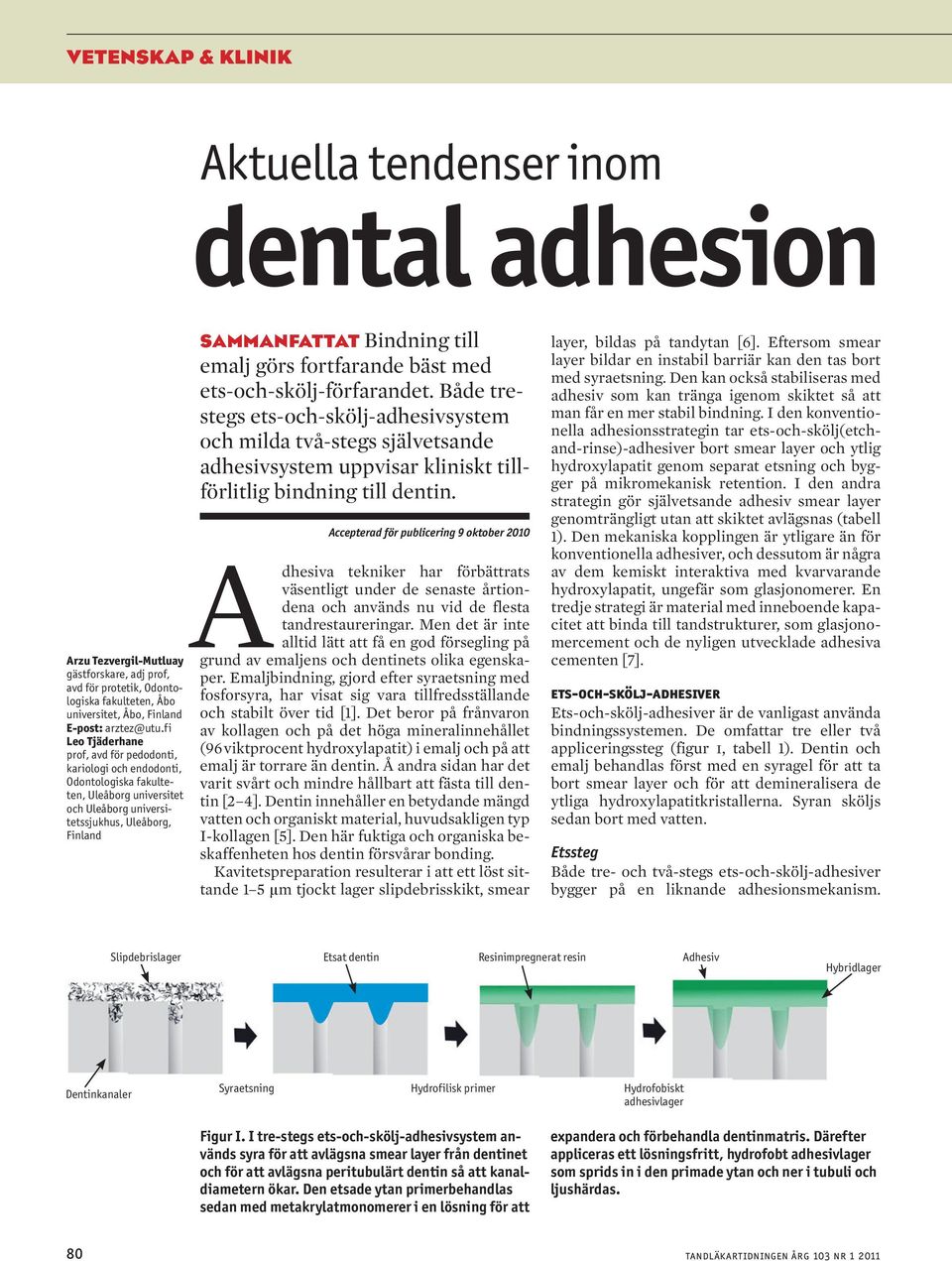 görs fortfarande bäst med ets-och-skölj-förfarandet. Både trestegs ets-och-skölj-adhesivsystem och milda två-stegs självetsande adhesivsystem uppvisar kliniskt tillförlitlig bindning till dentin.