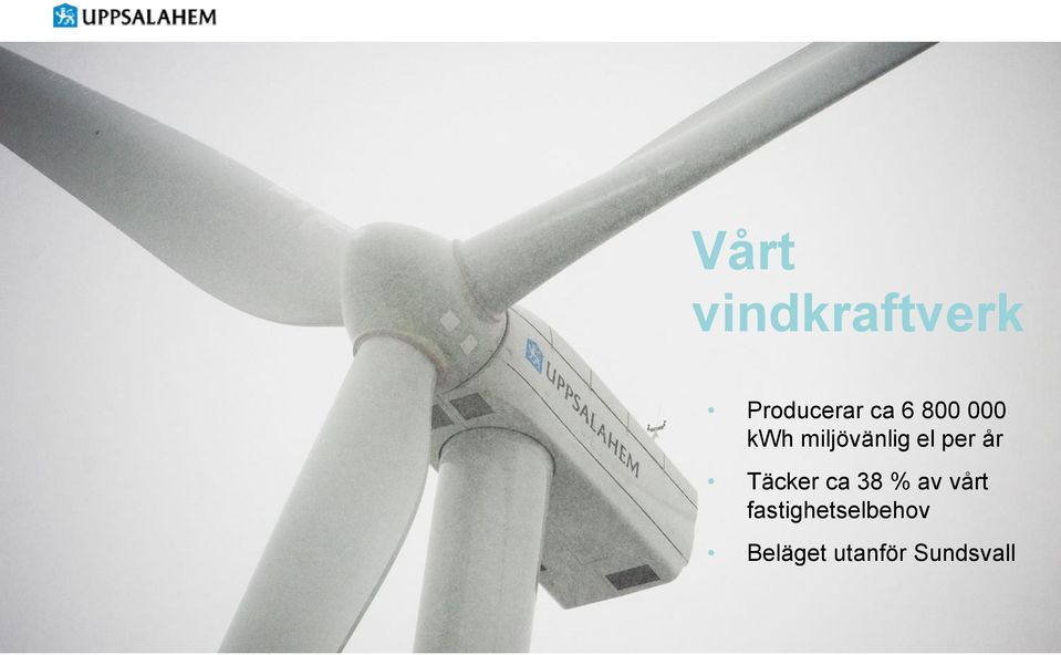 år Täcker ca 38 % av vårt