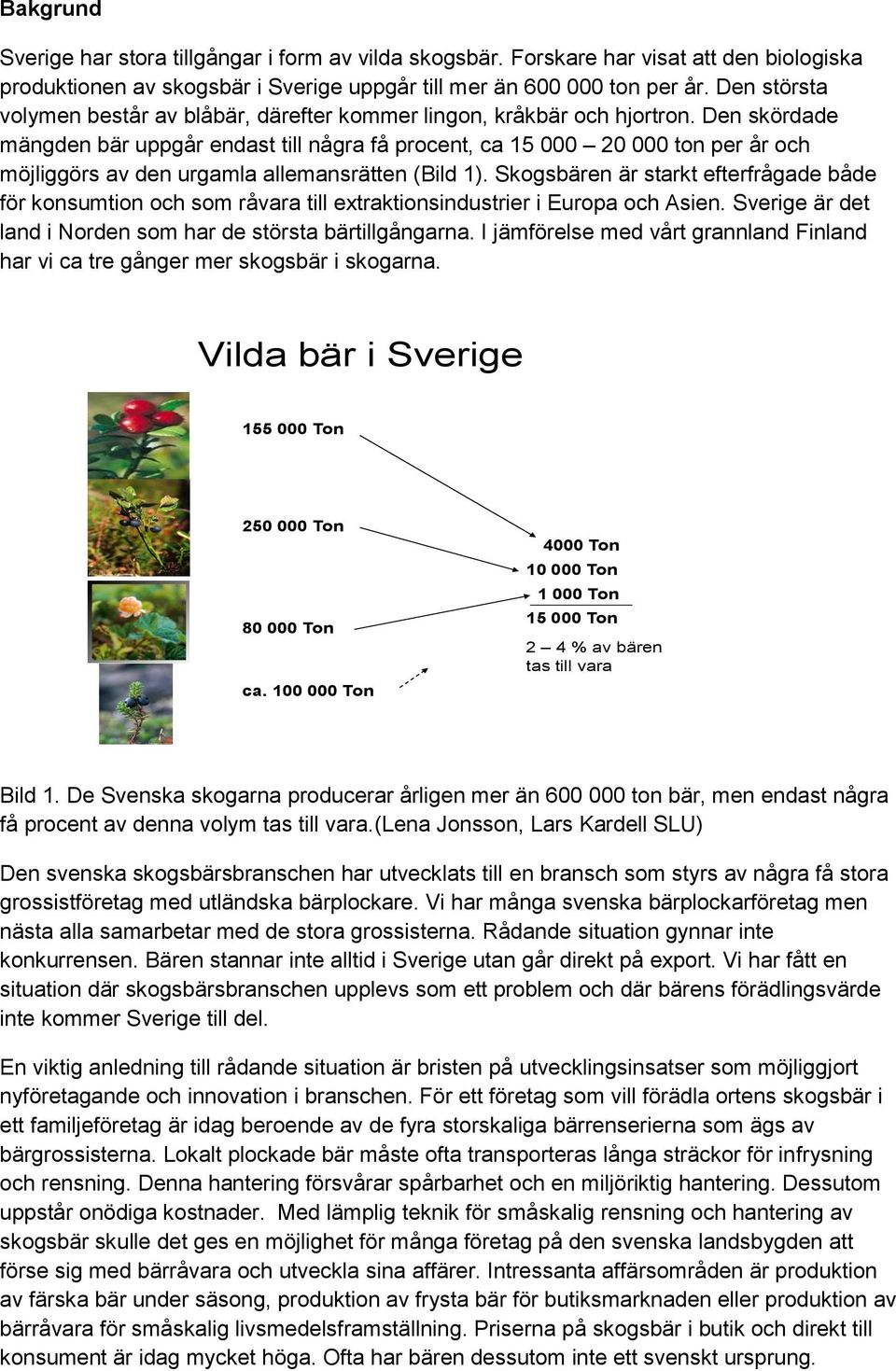 Den skördade mängden bär uppgår endast till några få procent, ca 15 000 20 000 ton per år och möjliggörs av den urgamla allemansrätten (Bild 1).