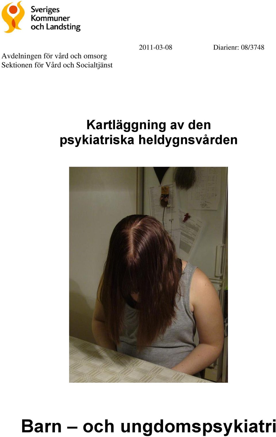 Diarienr: 08/3748 Kartläggning av den