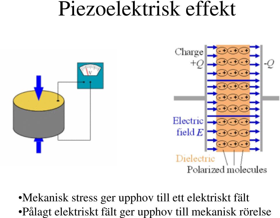 elektriskt fält Pålagt