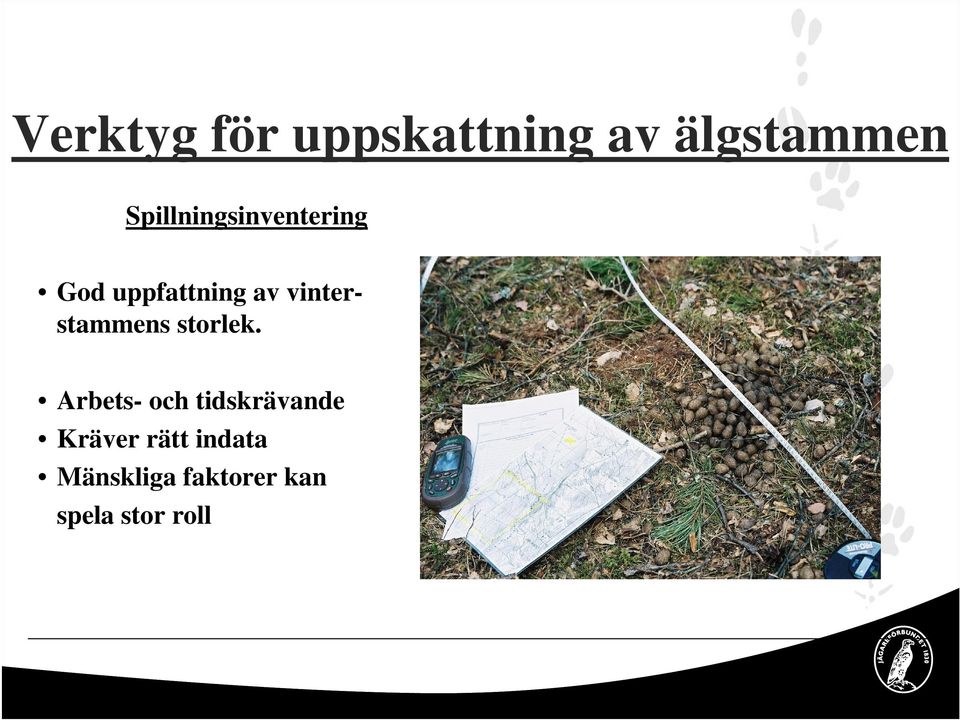 vinterstammens storlek.