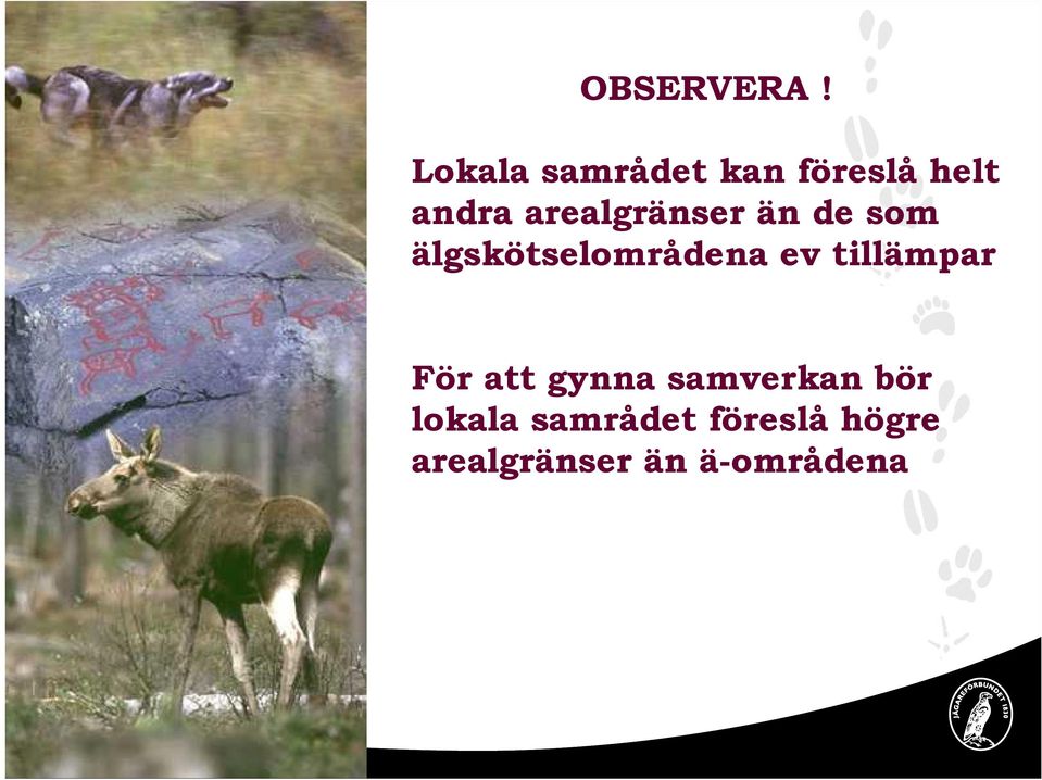 arealgränser än de som älgskötselområdena ev