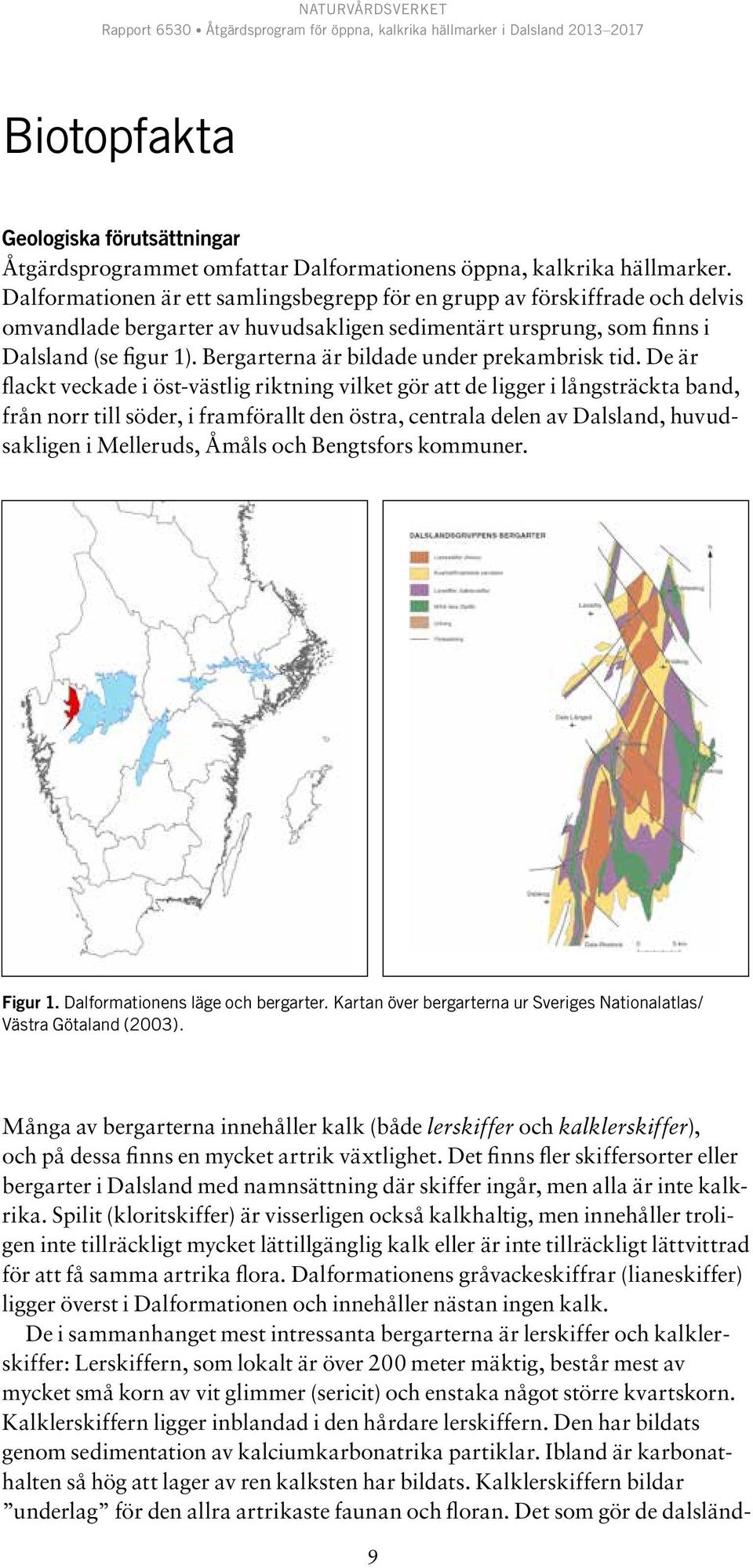Bergarterna är bildade under prekambrisk tid.
