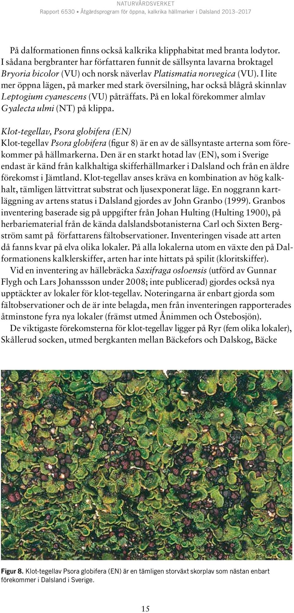 I lite mer öppna lägen, på marker med stark översilning, har också blågrå skinnlav Leptogium cyanescens (VU) påträffats. På en lokal förekommer almlav Gyalecta ulmi (NT) på klippa.