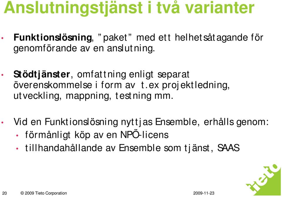 ex projektledning, utveckling, mappning, testning mm.