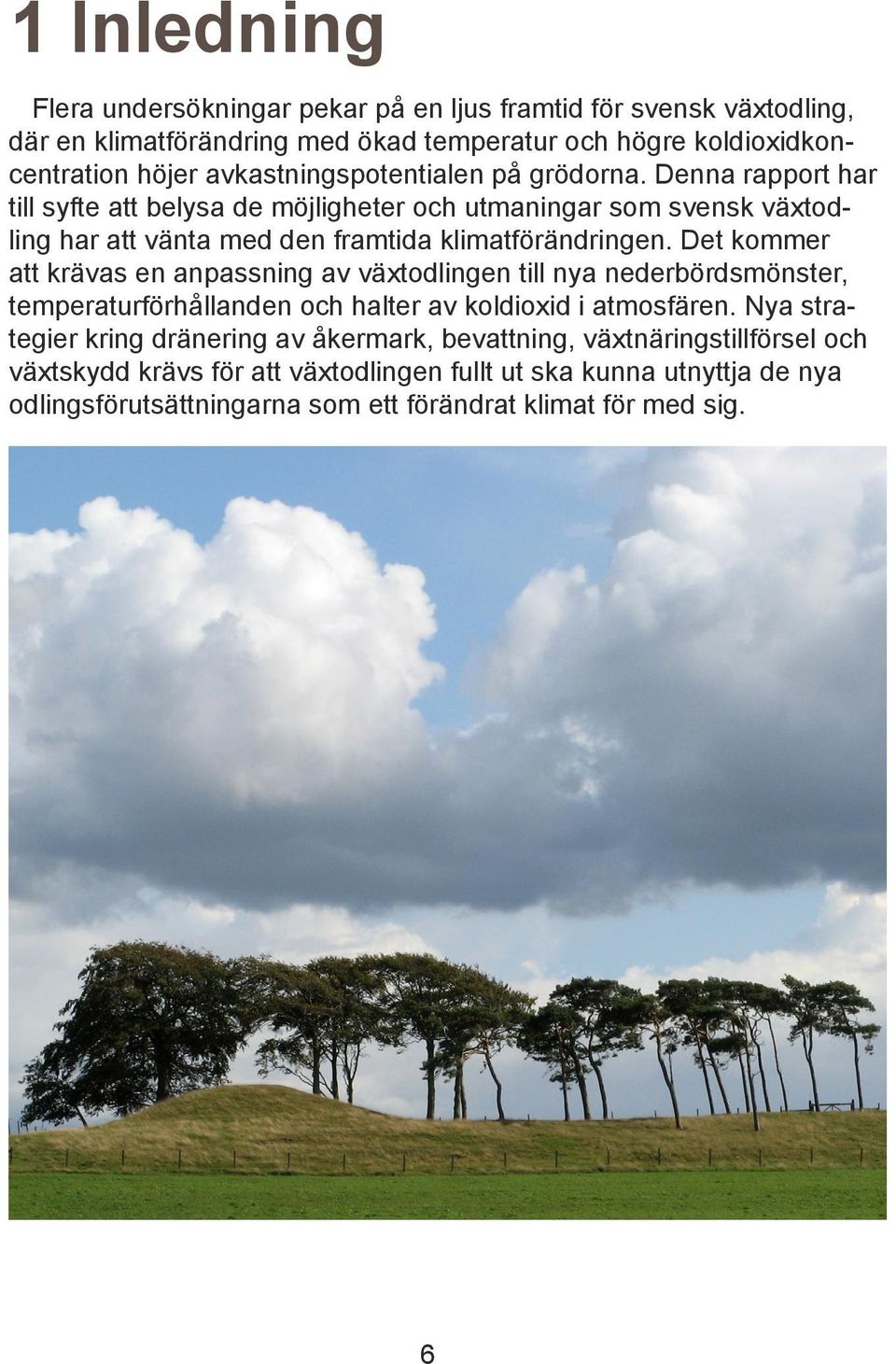 Denna rapport har till syfte att belysa de möjligheter och utmaningar som svensk växtodling har att vänta med den framtida klimatförändringen.