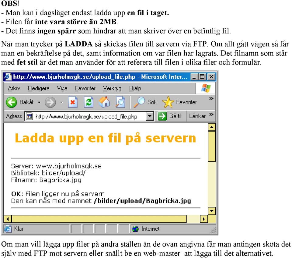 Om allt gått vägen så får man en bekräftelse på det, samt information om var filen har lagrats.