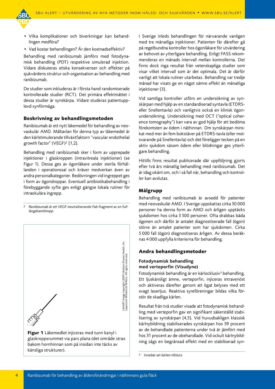 Vidare diskuteras etiska konsekvenser och effekter på sjukvårdens struktur och organisation av behandling med ranibizumab.