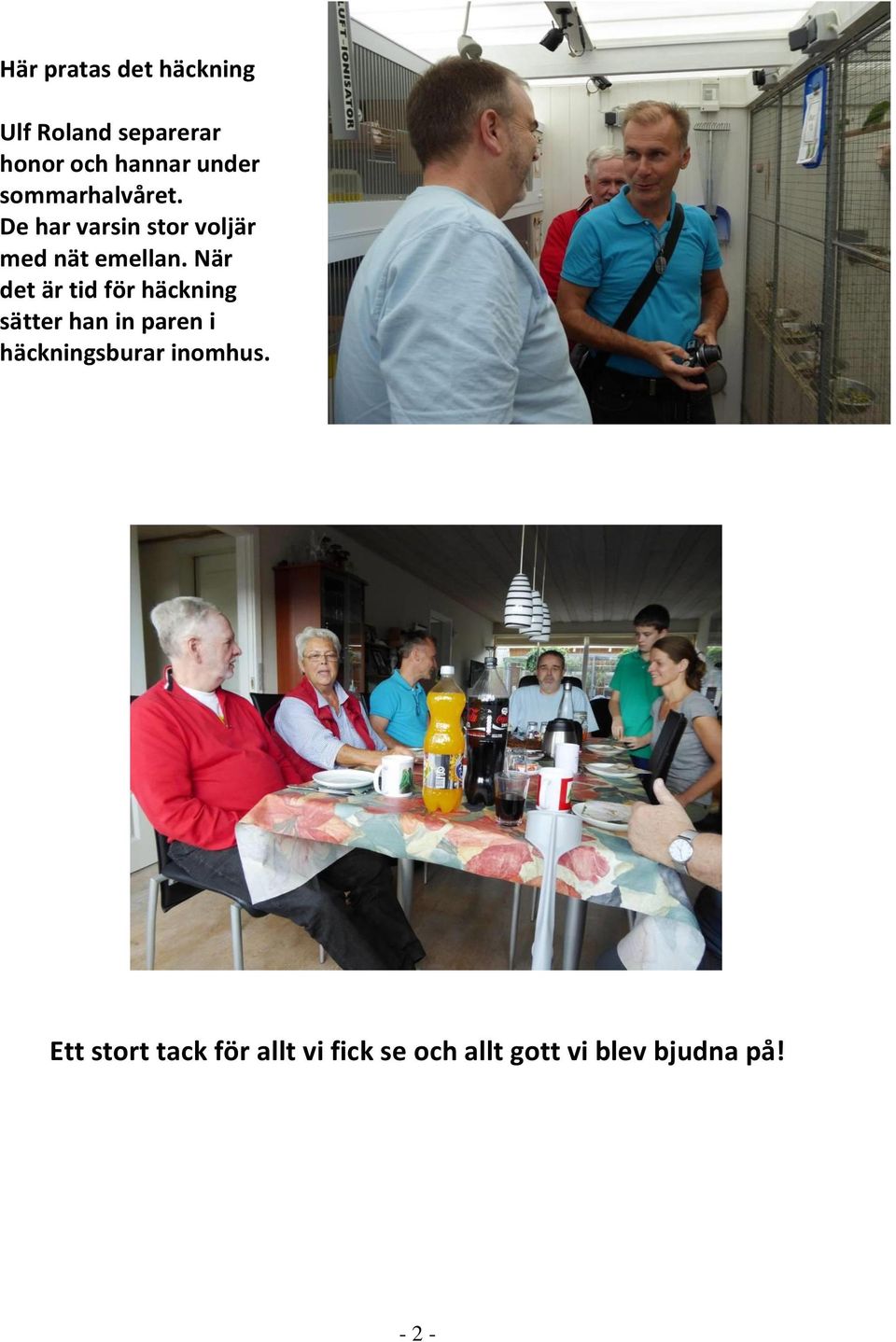 När det är tid för häckning sätter han in paren i häckningsburar
