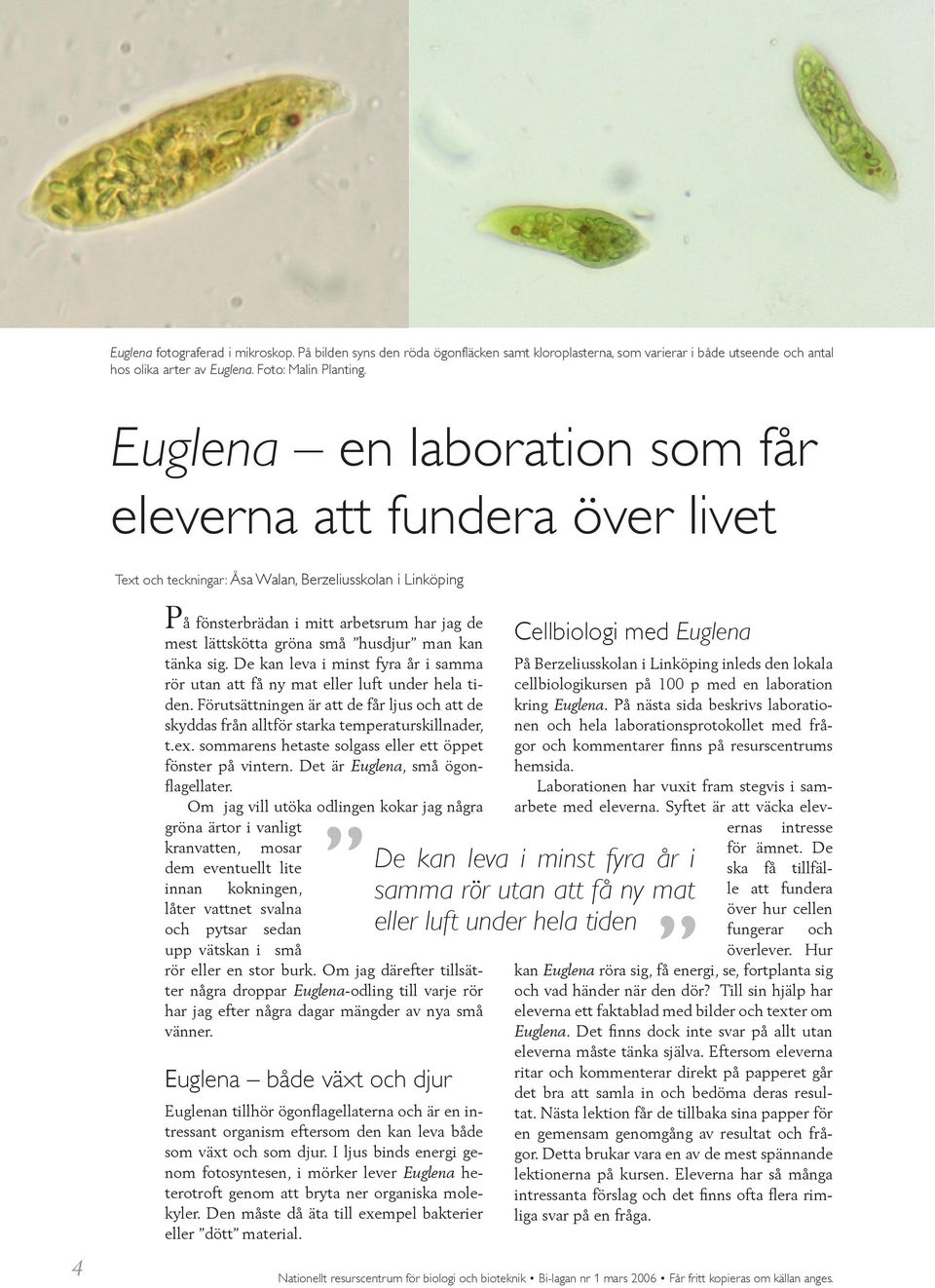 husdjur man kan tänka sig. De kan leva i minst fyra år i samma rör utan att få ny mat eller luft under hela tiden.
