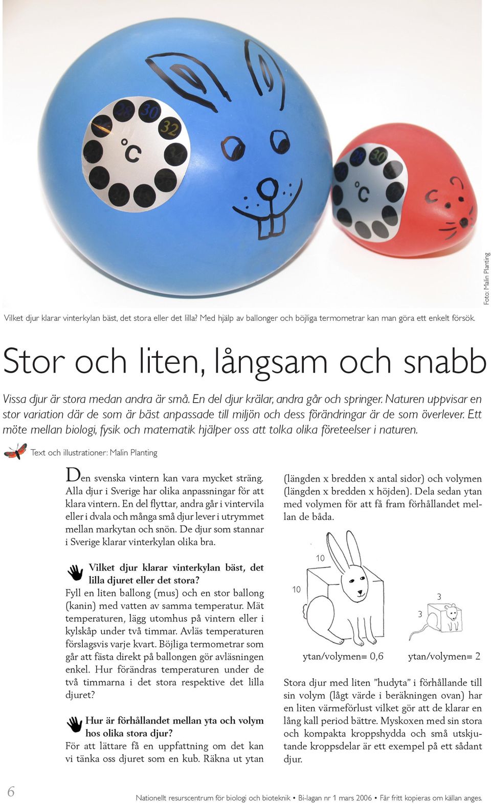 Naturen uppvisar en stor variation där de som är bäst anpassade till miljön och dess förändringar är de som överlever.