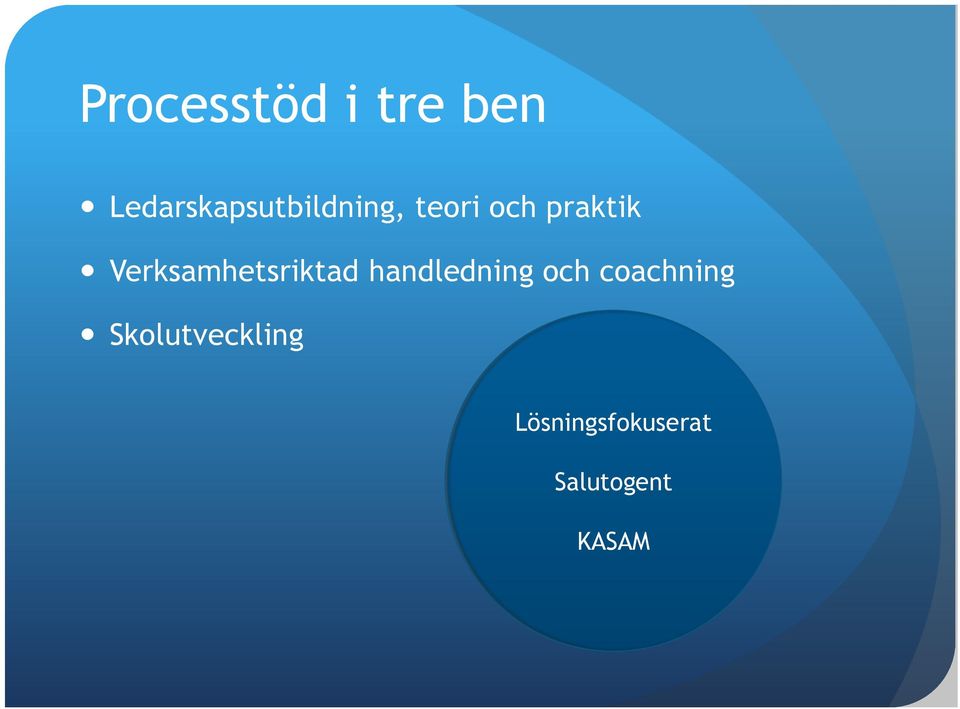 praktik Verksamhetsriktad handledning