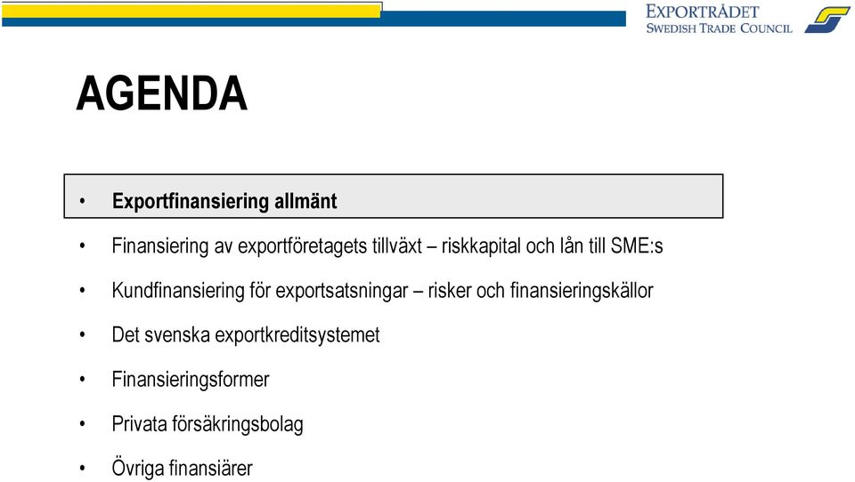 exportsatsningar risker och finansieringskällor Det svenska