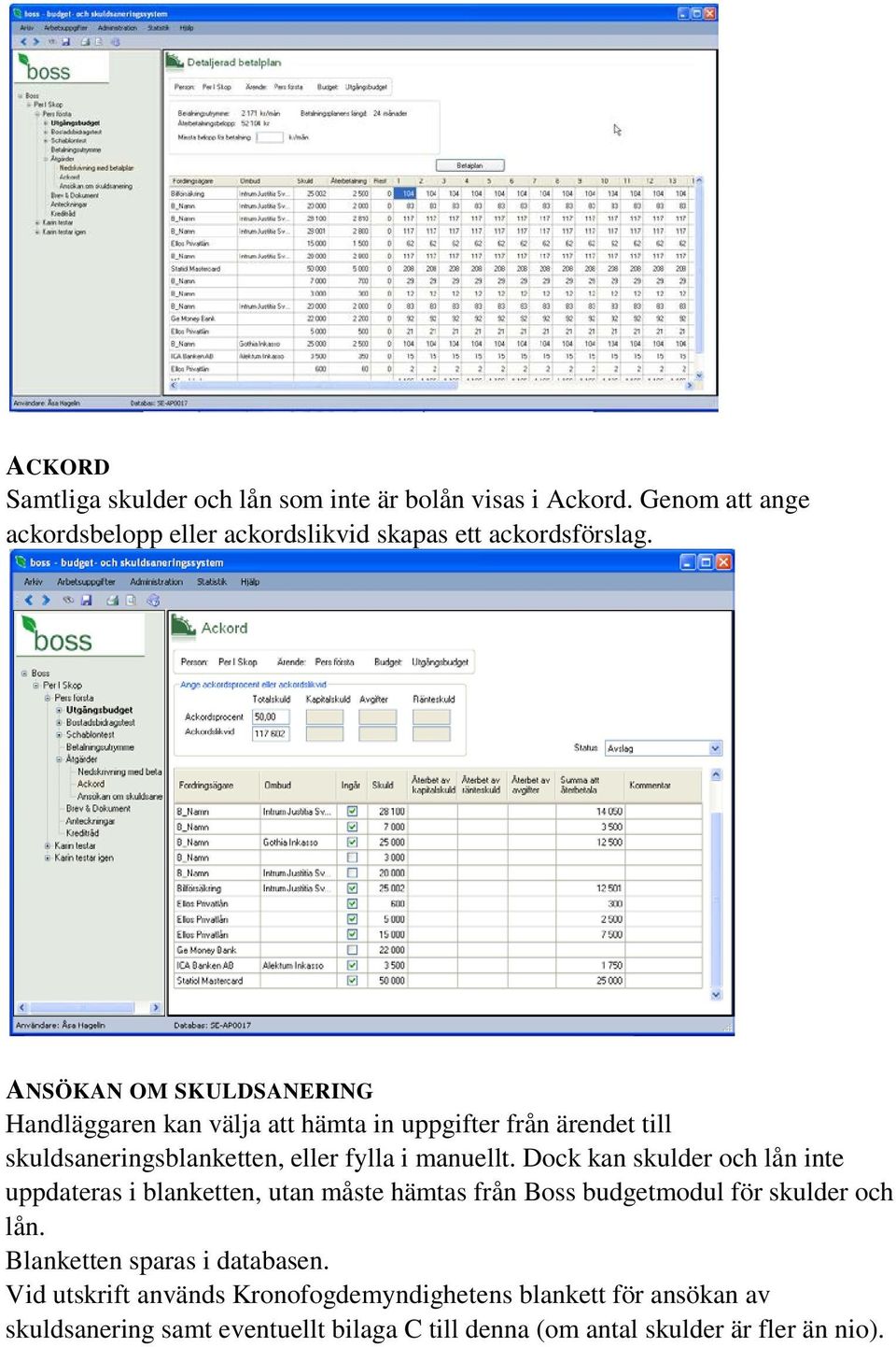 Dock kan skulder och lån inte uppdateras i blanketten, utan måste hämtas från Boss budgetmodul för skulder och lån.