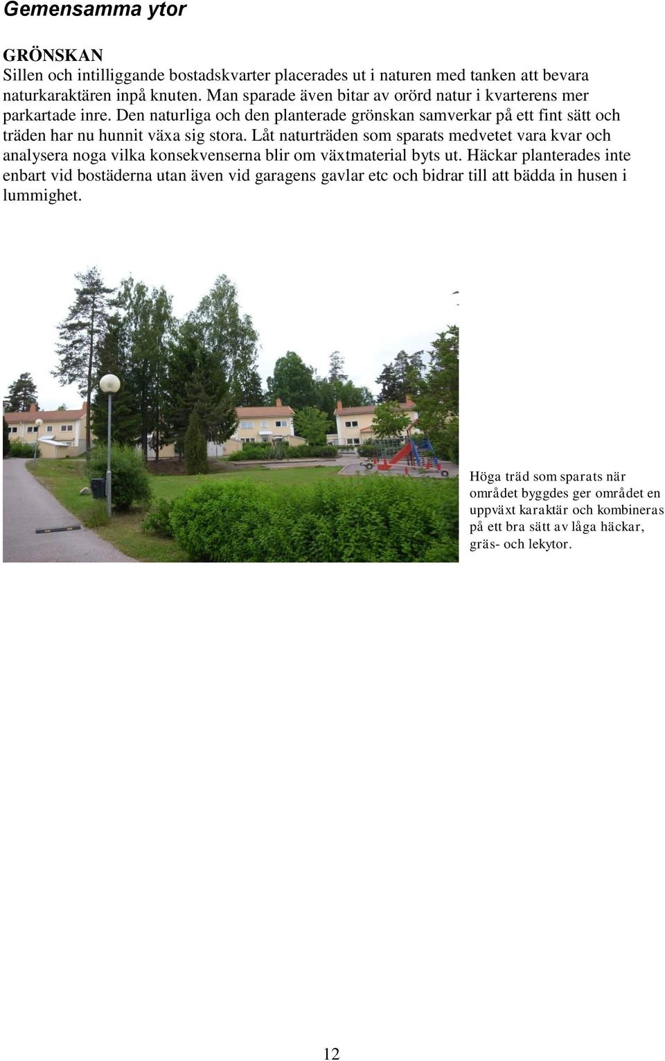 Den naturliga och den planterade grönskan samverkar på ett fint sätt och träden har nu hunnit växa sig stora.