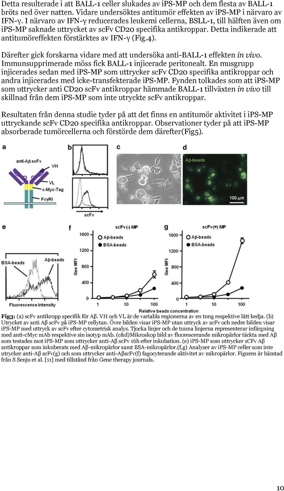 Detta indikerade att antitumöreffekten förstärktes av IFN-γ (Fig.4). Därefter gick forskarna vidare med att undersöka anti-ball-1 effekten in vivo.