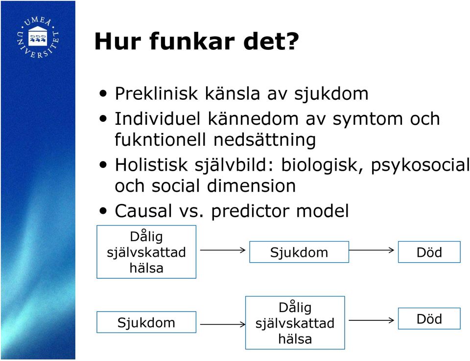 fukntionell nedsättning Holistisk självbild: biologisk,