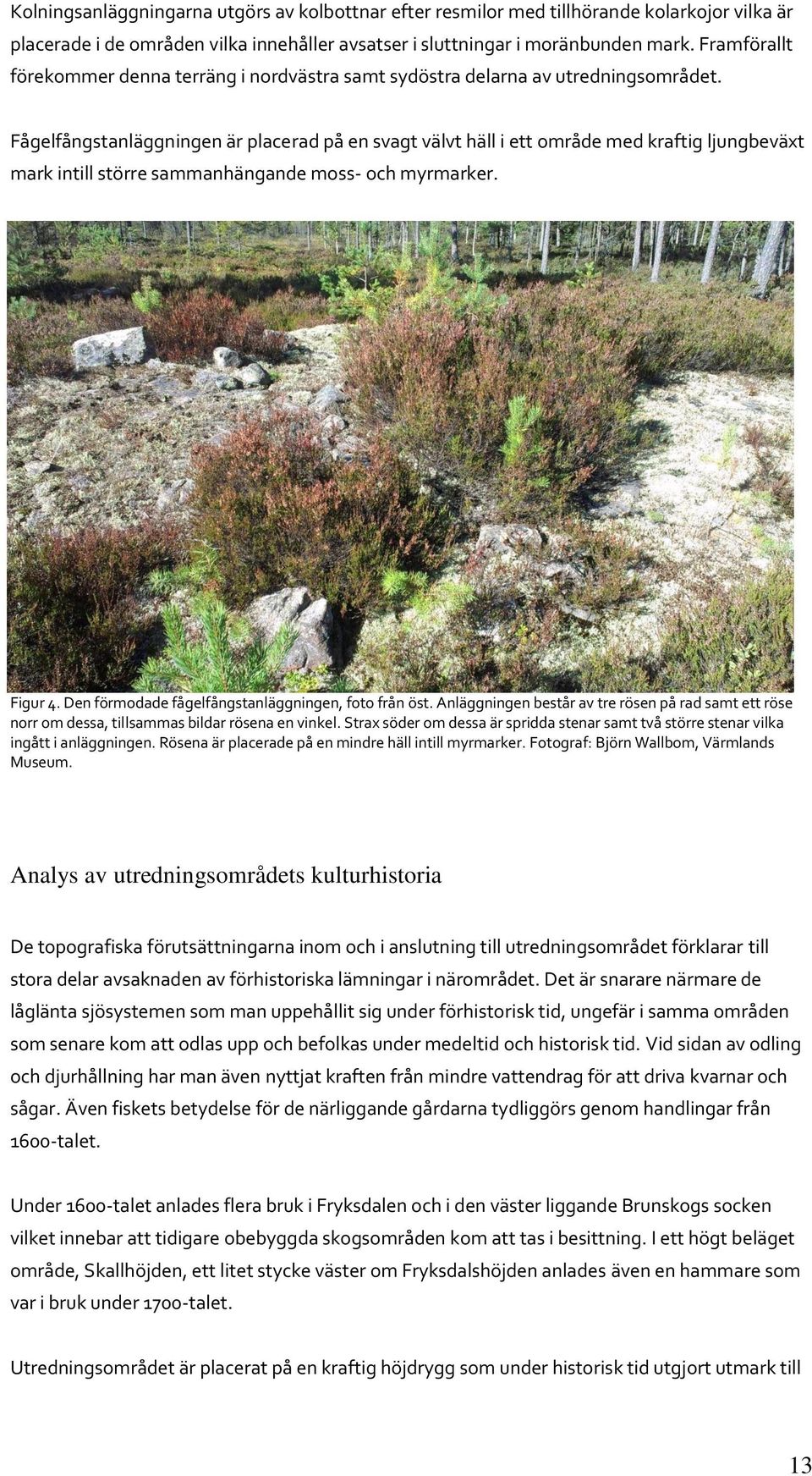 Fågelfångstanläggningen är placerad på en svagt välvt häll i ett område med kraftig ljungbeväxt mark intill större sammanhängande moss- och myrmarker. Figur 4.