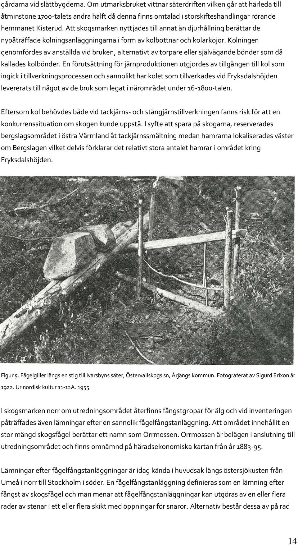 Att skogsmarken nyttjades till annat än djurhållning berättar de nypåträffade kolningsanläggningarna i form av kolbottnar och kolarkojor.