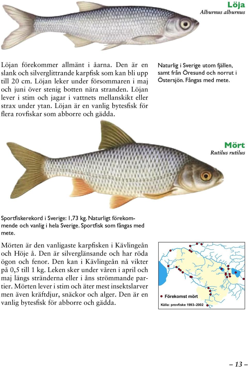 Löjan är en vanlig bytesfisk för flera rovfiskar som abborre och gädda. Naturlig i Sverige utom fjällen, samt från Öresund och norrut i Östersjön. Fångas med mete.