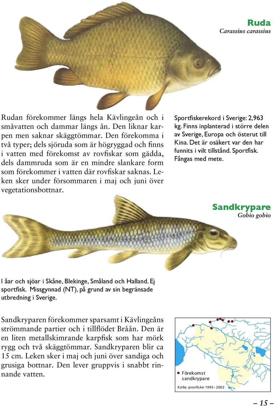 saknas. Leken sker under försommaren i maj och juni över vegetationsbottnar. Sportfiskerekord i Sverige: 2,963 kg. Finns inplanterad i större delen av Sverige, Europa och österut till Kina.