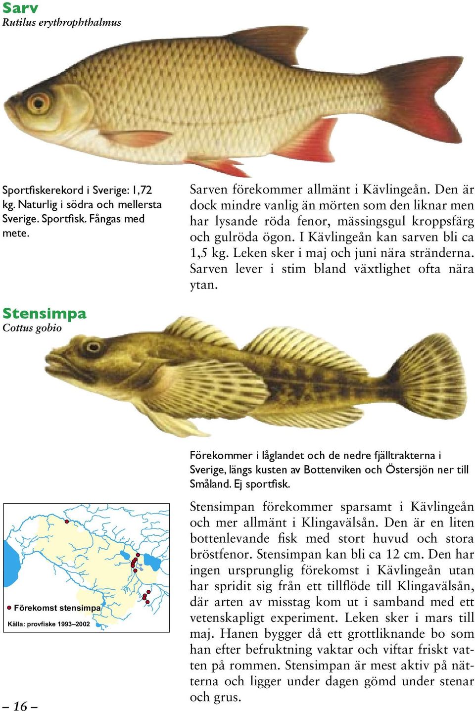 Leken sker i maj och juni nära stränderna. Sarven lever i stim bland växtlighet ofta nära ytan.