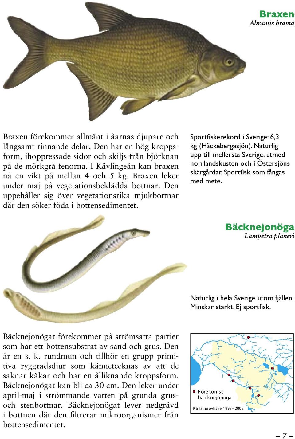 Den uppehåller sig över vegetationsrika mjukbottnar där den söker föda i bottensedimentet. Sportfiskerekord i Sverige: 6,3 kg (Häckebergasjön).