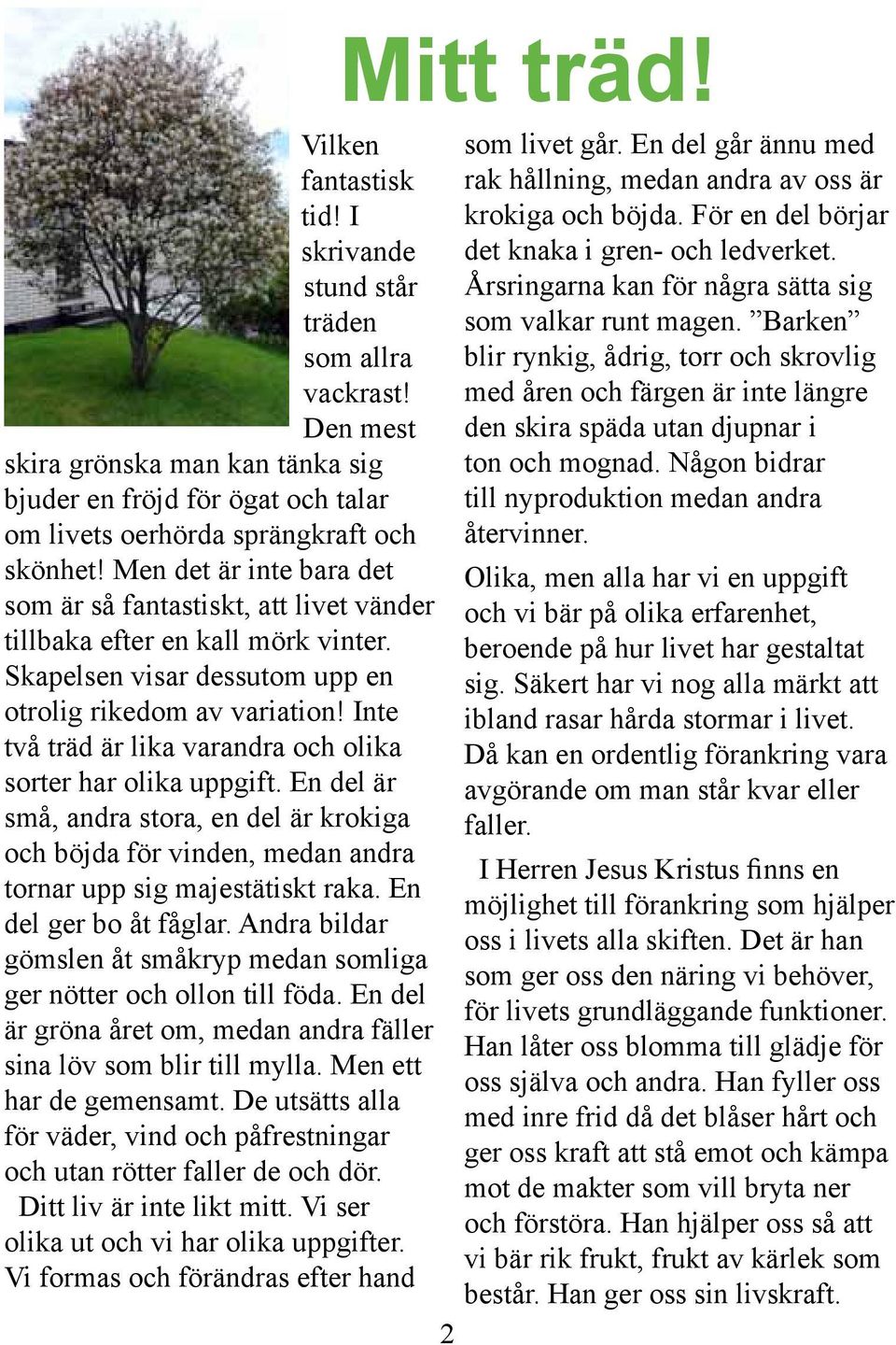 Inte två träd är lika varandra och olika sorter har olika uppgift. En del är små, andra stora, en del är krokiga och böjda för vinden, medan andra tornar upp sig majestätiskt raka.